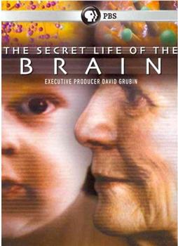 The Secret Life of the Brain在线观看和下载