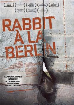 柏林墙的野兔在线观看和下载