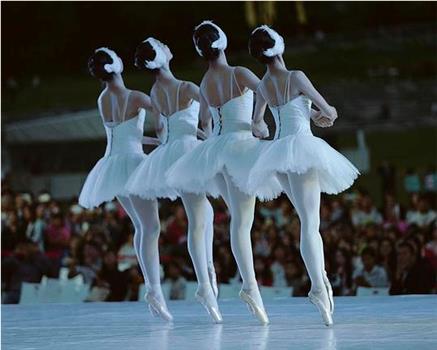 柴科夫斯基 芭蕾舞剧《天鹅湖》在线观看和下载