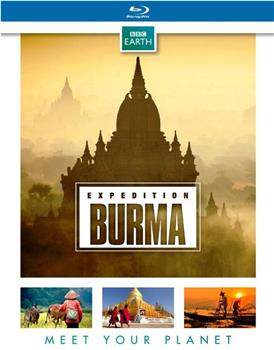野性缅甸：失落的自然王国在线观看和下载