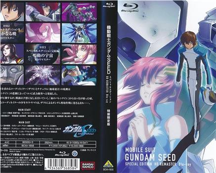 机动战士高达SEED 特别版1：虚空的战场在线观看和下载
