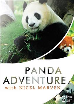 马文的熊猫王国历险记在线观看和下载