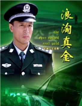 浪淘真金在线观看和下载