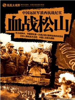中国远征军滇西抗战纪实：血战松山在线观看和下载