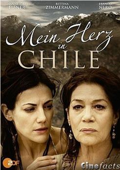 Mein Herz in Chile在线观看和下载