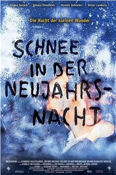 Schnee in der Neujahrsnacht在线观看和下载
