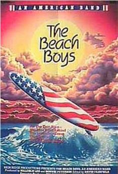 The Beach Boys: An American Band在线观看和下载