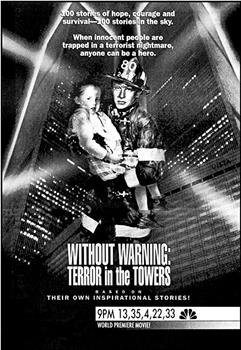 Without Warning: Terror in the Towers在线观看和下载