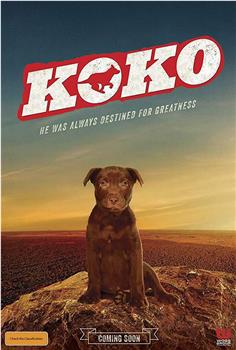 Koko:红犬历险记在线观看和下载