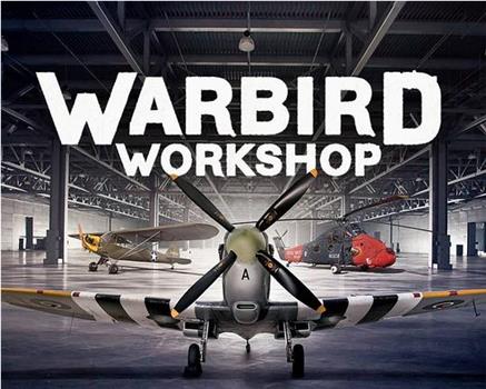 Warbird Workshop Season 1在线观看和下载
