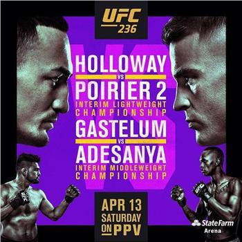 UFC236：霍洛威VS普利瓦尔在线观看和下载