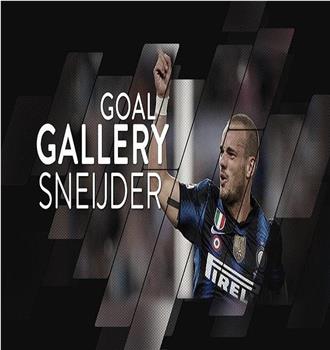 Wesley Sneijder: All Of His 22 Inter Goals在线观看和下载