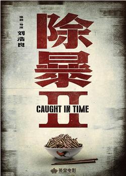 除暴2在线观看和下载
