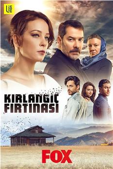 Kirlangiç Firtinasi在线观看和下载