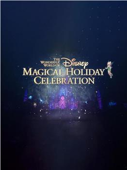 The Wonderful World of Disney: Magical Holiday Celebration 2022在线观看和下载