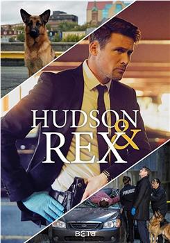 哈德森与雷克斯 第五季在线观看和下载