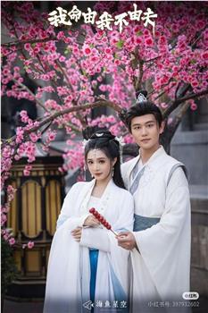 我命由我不由夫在线观看和下载