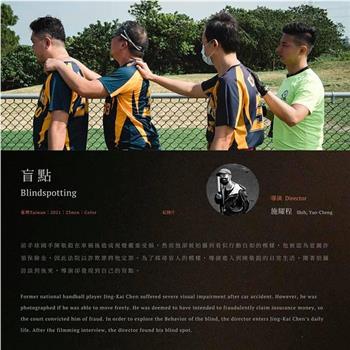 盲點在线观看和下载