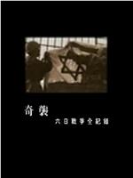 奇袭 六日战争全纪录