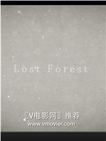 迷失森林