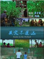 其实不遥远