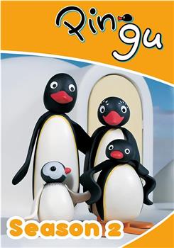 企鹅家族第二季在线观看和下载