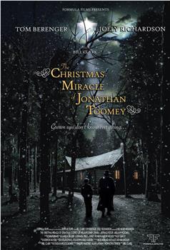 乔娜莎·图米的圣诞奇迹在线观看和下载