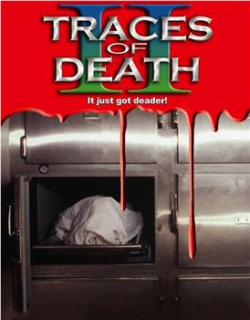 地下影带2：解剖死亡在线观看和下载