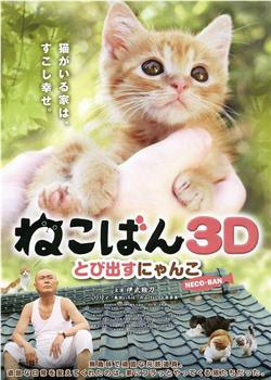 小猫跳出来3D在线观看和下载