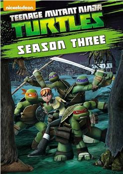忍者神龟 第三季在线观看和下载