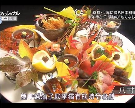 Professional 行家本色：日本料理人石原仁司在线观看和下载