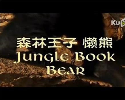 森林王子——懒熊在线观看和下载
