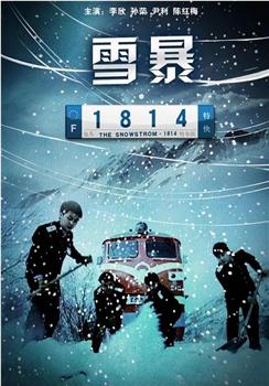 雪暴1814在线观看和下载