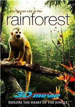 热带雨林生物探奇在线观看和下载