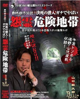 最怖都市伝説!!決死の潜入!ガチでやばい怨霊危険地帯 怨霊が乱れ飛ぶ!!日本恐怖スポット衝撃ルポ 山口敏太郎B-FILE在线观看和下载