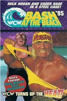 WCW Bash at the Beach在线观看和下载