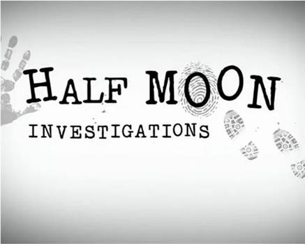 Half Moon Investigations在线观看和下载