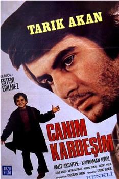 Canım Kardeşim在线观看和下载