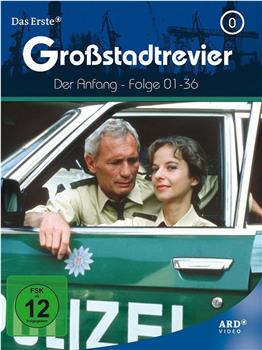 Großstadtrevier在线观看和下载