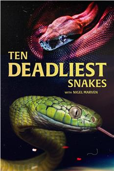 十大毒蛇 第二季在线观看和下载