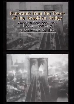 Panorama from Tower of the Brooklyn Bridge在线观看和下载
