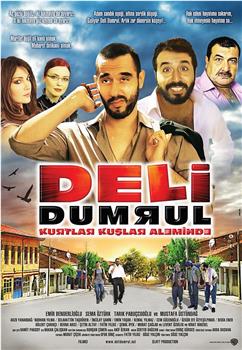 Deli Dumrul: Kurtlar Kuşlar Aleminde在线观看和下载