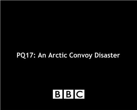 PQ17: An Arctic Convoy Disaster在线观看和下载