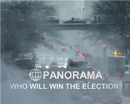 Panorama: Who Will Win the Election?在线观看和下载