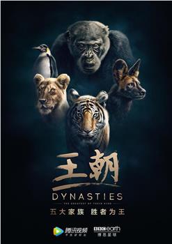 王朝 第一季在线观看和下载