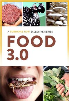 未来食物3.0 第一季在线观看和下载