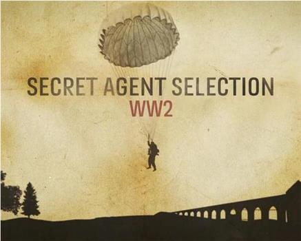 Secret Agent Selection: WW2在线观看和下载