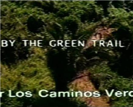 Por los caminos verdes在线观看和下载