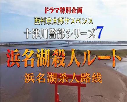 西村京太郎悬疑推理.十津川警部系列7 浜名湖杀人路线在线观看和下载