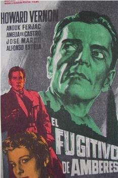 El fugitivo de Amberes在线观看和下载